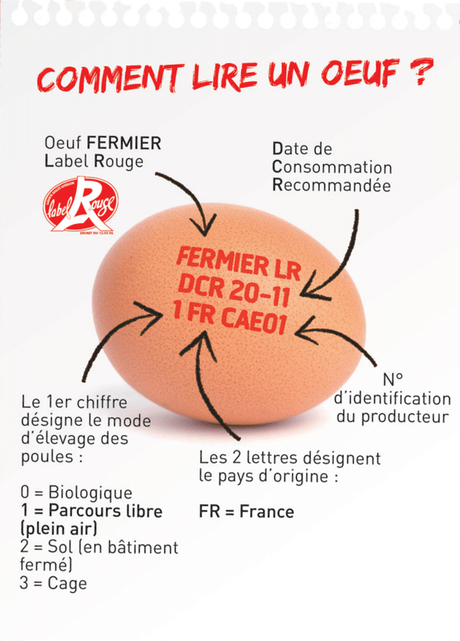 Comment lire le code d'un oeuf