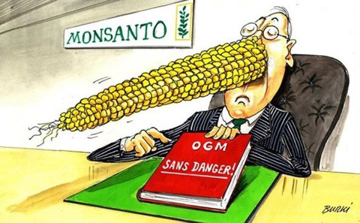 OGM dans les oeufs