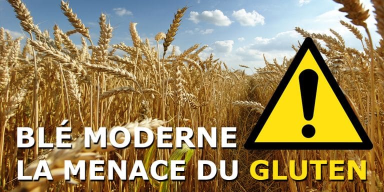 sensibilité au gluten