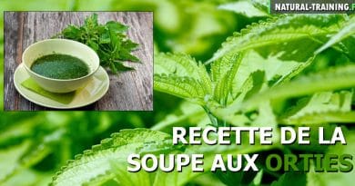 soupe aux orties