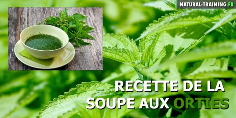 soupe aux orties