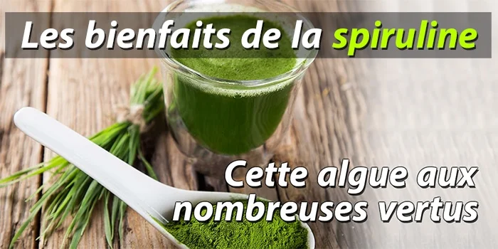 bienfaits de la spiruline