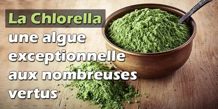 La chlorella une algue exceptionnelle aux nombreuses vertus